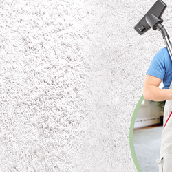 Professional Cleaning Systems
