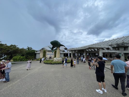 Okinawa Churaumi Aquarium by null