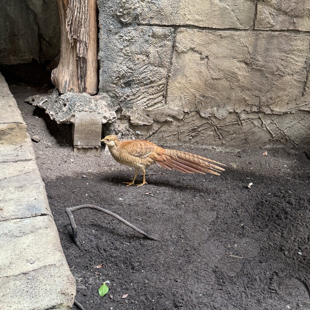 Bird Kingdom - Zoos Near Me - Niagara Falls, Ontario Bird Kingdom - Zoos Near Me - Niagara Falls, Ontario