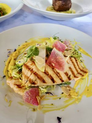 Zucca by null