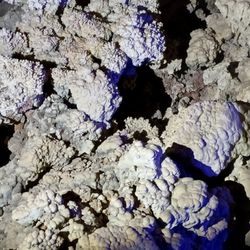 Grand Canyon Caverns Inn
