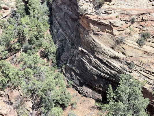 Observation Point by null