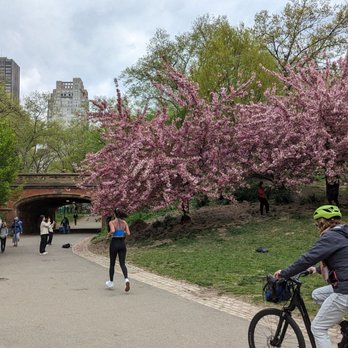 Central Park Conservancy - Parks Near Me - New York, New York