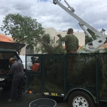 Affordable Yard And Tree Service - Tree Services Near Me - Tucson, Arizona Affordable Yard And Tree Service - Tree Services Near Me - Tucson, Arizona