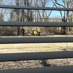 Dave's stump grinding and removal. - Stump grinding