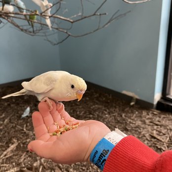 Blue Zoo Aquarium Rogers - My grandson really liked feeding the parakeets! - Aquariums Near Me - Rogers, Arkansas Blue Zoo Aquarium Rogers - My grandson really liked feeding the parakeets! - Aquariums Near Me - Rogers, Arkansas