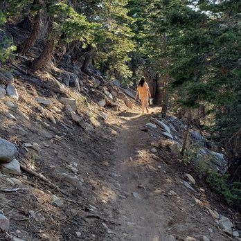 Sierra Meadows Ranch - Trail starts to enter the forest at the base of the Sherwins. - Venues & Event Spaces Near Me - Mammoth Lakes, California Sierra Meadows Ranch - Trail starts to enter the forest at the base of the Sherwins. - Venues & Event Spaces Near Me - Mammoth Lakes, California