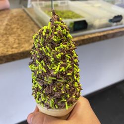 Pine Cone