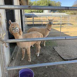 2 The Rescue Animal Sanctuary