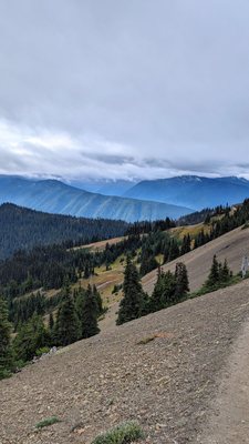 Hurricane Ridge by null