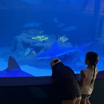 Florida Keys Aquarium Encounters - Aquariums Near Me - Marathon, Florida