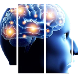 The Las Vegas Neurofeedback Center