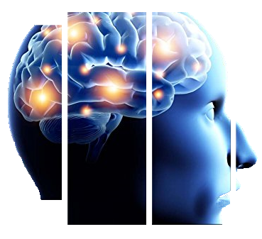 The Las Vegas Neurofeedback Center - child therapist in Las Vegas, NV