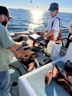 Davey's Locker Whale Watching & Sportfishing by null