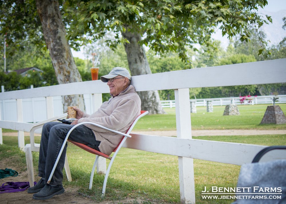 J Bennett Farms - equestrian in Burbank, CA