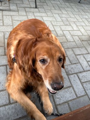 Leikam Brewing by null