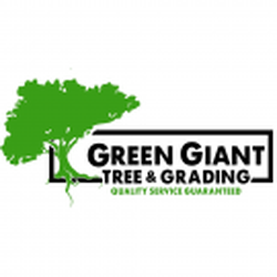 Green Giant Tree & Grading - Green Giant Tree Service