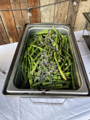 The Northern Lights Saloon by null