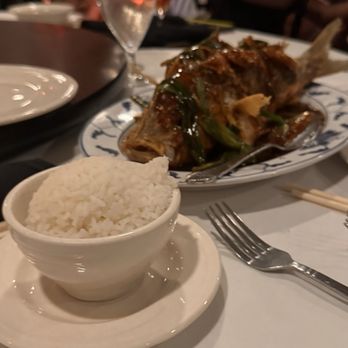 Hsu's Atlanta - Fried red snapper with ginger and scallion sauce. This was the Fish of the day. - Chinese Near Me - Atlanta, Georgia Hsu's Atlanta - Fried red snapper with ginger and scallion sauce. This was the Fish of the day. - Chinese Near Me - Atlanta, Georgia