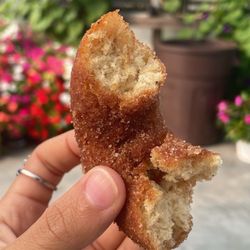 Fairmount Fruit Farm - Apple cider donut