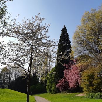 Parc de Brequigny - Parks Near Me - Rennes, 35