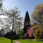 Parc de Brequigny