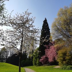 Parc de Brequigny