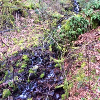 Multnomah Falls - Hiking Near Me - Bridal Veil, Oregon Multnomah Falls - Hiking Near Me - Bridal Veil, Oregon