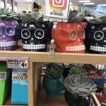 Trader Joe's - Larger skulls with succulents - Grocery Near Me - Oceanside, California