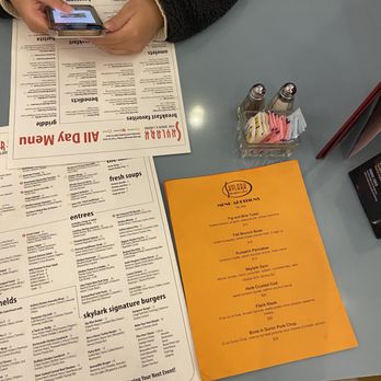 Skylark Diner - Diners Near Me - Edison, New Jersey