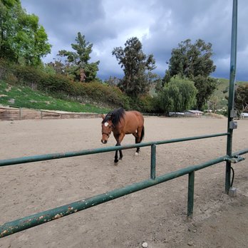Monteverde Ranch Equestrian Center - Bottom arena just after some rain - Horseback Riding Near Me - Sylmar, California