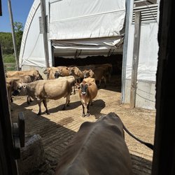 Cato Corner Farm
