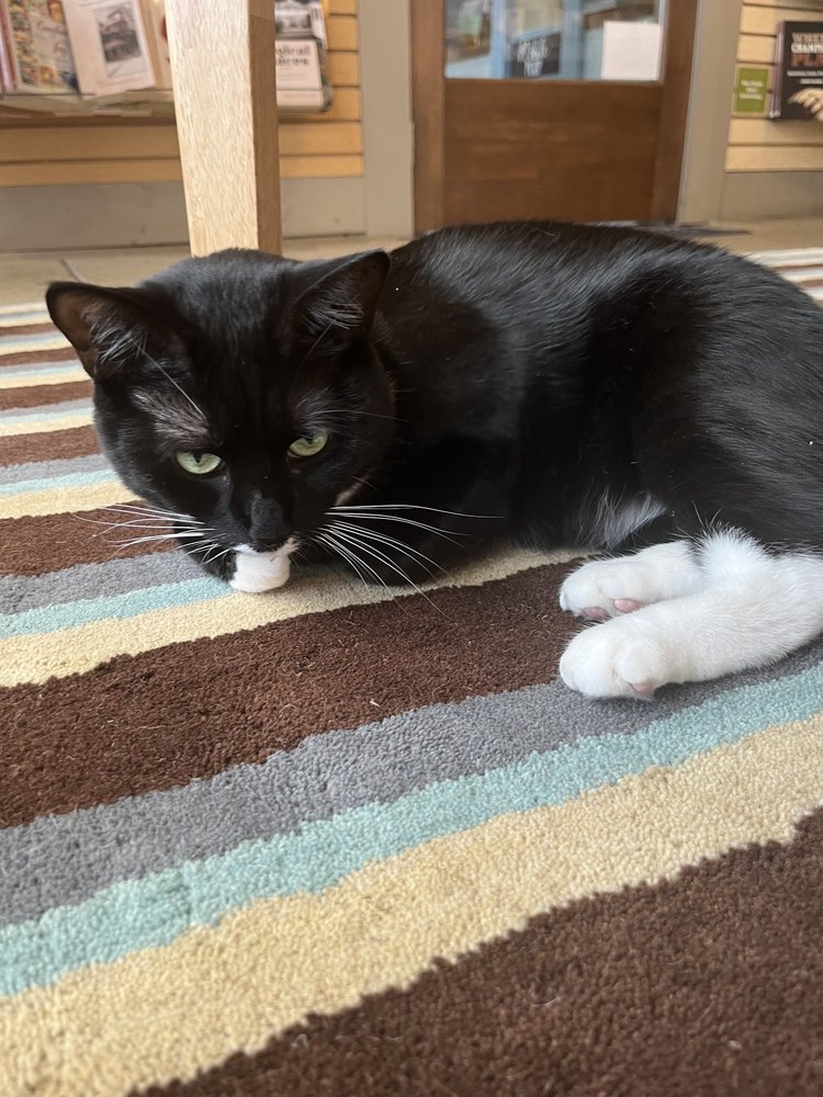 Hub City Bookshop Image