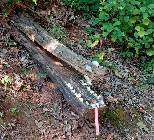 Social spots from Eureka Trail