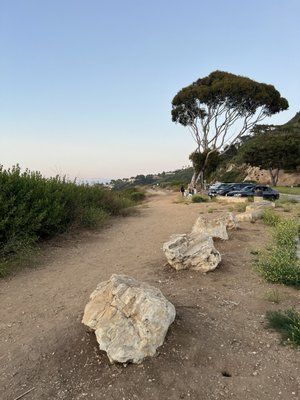Palos Verdes Estates Shoreline Preserve by null
