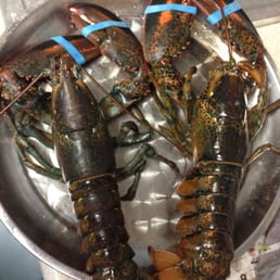 Close to 1.5lbs lobster each. Came out somewhat $24ish