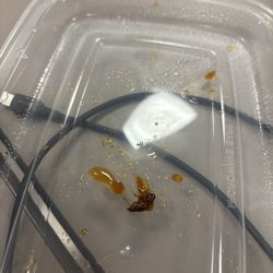 China Feast - Sesame chicken w a side of baby roach