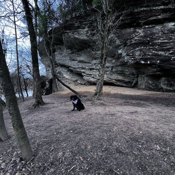 Raven Rock State Park - Parks Near Me - Lillington, North Carolina Raven Rock State Park - Parks Near Me - Lillington, North Carolina