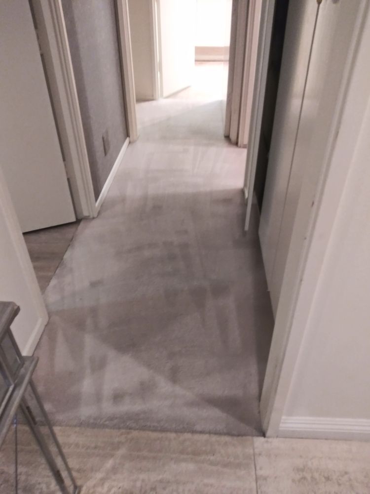 CITYWIDE CARPET CLEANING 66 Photos & 17 Reviews 324 S Beverly Dr