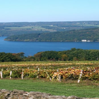 Fast Break Limousine - Wine Country Tours - Limos Near Me - Bohemia, New York