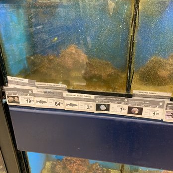 Petco - Fish tanks - Pet Groomers Near Me - Charlotte, North Carolina