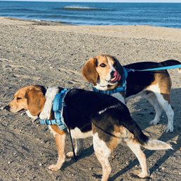 We loved the clean beach