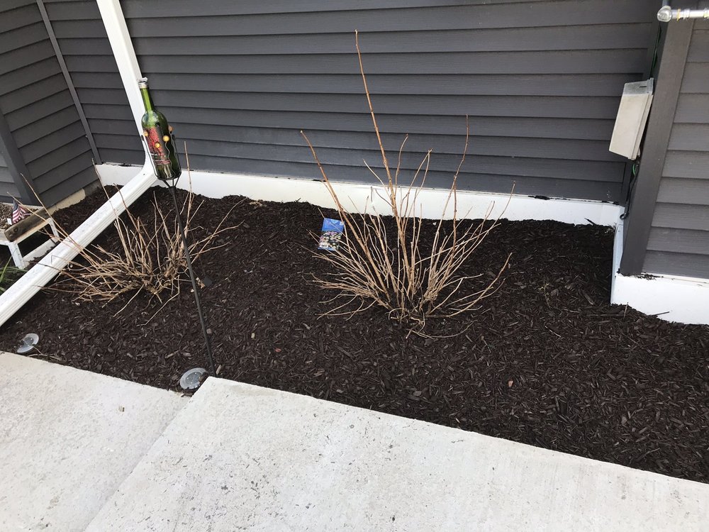 RUSS’S MULCH & TOP SOIL Updated April 2024 15 Photos & 12 Reviews