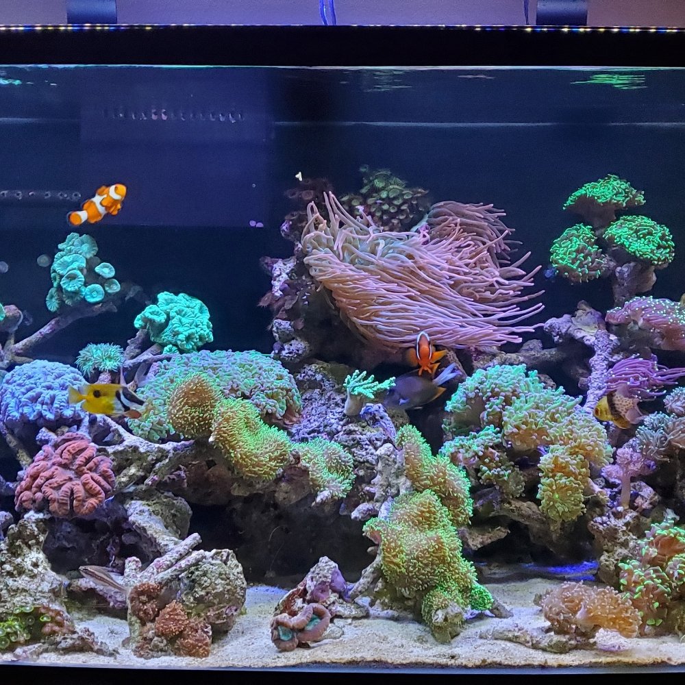 AQUAZONE AQUARIUM AND POND SERVICE Updated October 2024 29 Photos