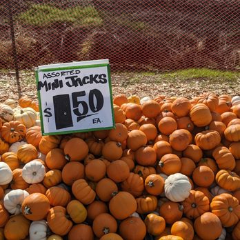Carpinito Brothers - Nurseries & Gardening Near Me - Kent, Washington
