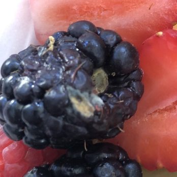 Curbside Cafe - Moldy fruit. - Breakfast & Brunch Near Me - Vista, California Curbside Cafe - Moldy fruit. - Breakfast & Brunch Near Me - Vista, California