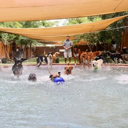 Always Unleashed Pet Resort