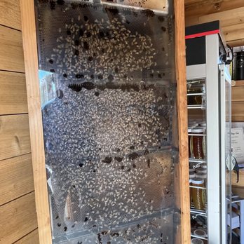 Sierra Honey Farm - Specialty Food Near Me - Paso Robles, California Sierra Honey Farm - Specialty Food Near Me - Paso Robles, California