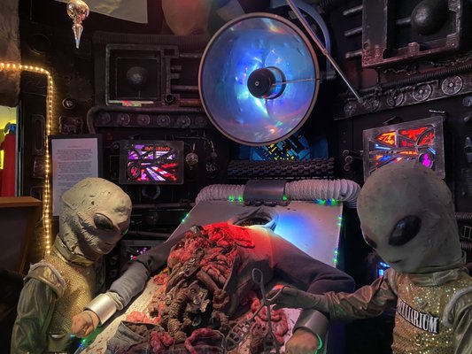 The Freakybuttrue Peculiarium and Museum by null