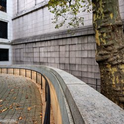 American Museum of Natural History - "At the moment of commitment the entire universe conspires to assist you."  ― Johann Wolfgang von Goethe